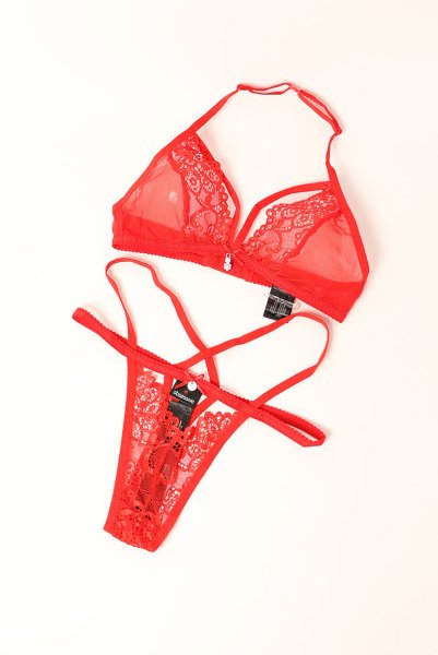 画像10: 838 SET 3  red | ホルターネックのシースルーブラ＆Tバックセット・ノンワイヤー・レッド   | 高級Sexyランジェリー Obsessive【即日発送・サイズ交換NG・メール便対象】輸入下着・ランジェリー   (10)