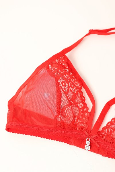 画像12: 838 SET 3  red | ホルターネックのシースルーブラ＆Tバックセット・ノンワイヤー・レッド   | 高級Sexyランジェリー Obsessive【即日発送・サイズ交換NG・メール便対象】輸入下着・ランジェリー   (12)