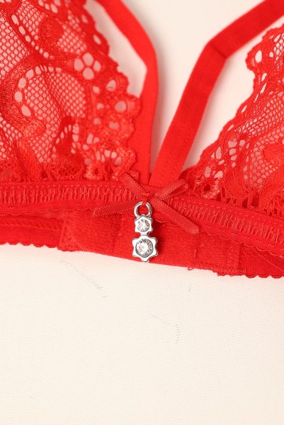 画像13: 838 SET 3  red | ホルターネックのシースルーブラ＆Tバックセット・ノンワイヤー・レッド   | 高級Sexyランジェリー Obsessive【即日発送・サイズ交換NG・メール便対象】輸入下着・ランジェリー   (13)