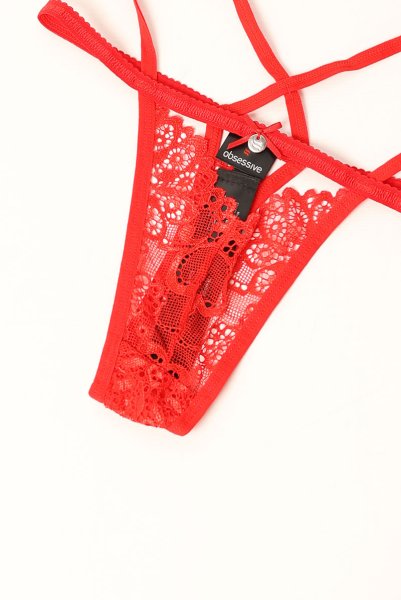 画像19: 838 SET 3  red | ホルターネックのシースルーブラ＆Tバックセット・ノンワイヤー・レッド   | 高級Sexyランジェリー Obsessive【即日発送・サイズ交換NG・メール便対象】輸入下着・ランジェリー   (19)