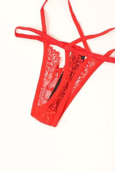 画像20: 838 SET 3  red | ホルターネックのシースルーブラ＆Tバックセット・ノンワイヤー・レッド   | 高級Sexyランジェリー Obsessive【即日発送・サイズ交換NG・メール便対象】輸入下着・ランジェリー   (20)