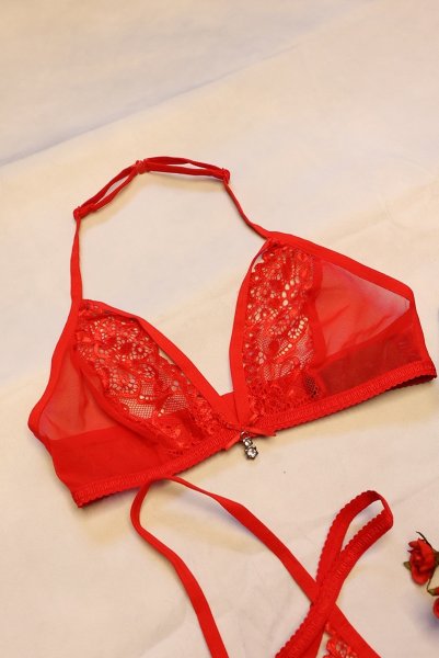 画像23: 838 SET 3  red | ホルターネックのシースルーブラ＆Tバックセット・ノンワイヤー・レッド   | 高級Sexyランジェリー Obsessive【即日発送・サイズ交換NG・メール便対象】輸入下着・ランジェリー   (23)