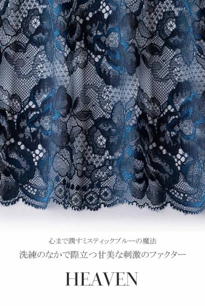 画像15: 【30%OFF】HEAVEN soft  | 一枚レース・パッドなし・ワイヤーブラ・3/4カップ | Sawren サブレン (15)