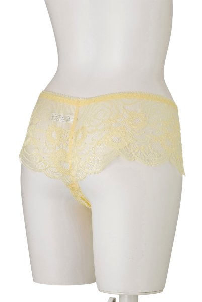 画像10: 【30%OFF】JOY hipsters  | ヒップスターショーツ | Sawren サブレン (10)