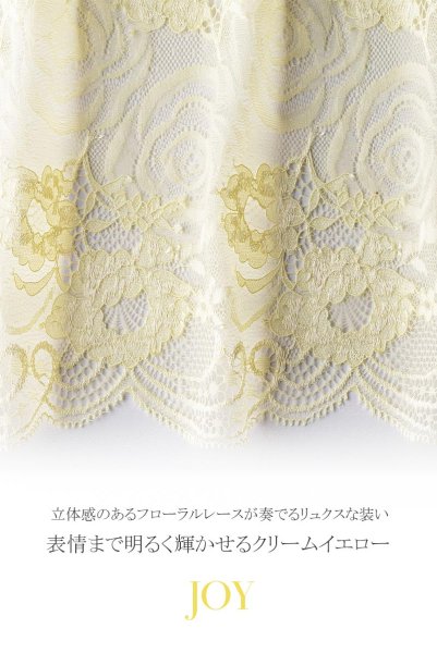 画像16: 【30%OFF】JOY hipsters  | ヒップスターショーツ | Sawren サブレン (16)