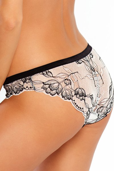 画像8: 【30%OFF】BOUNTY brief  | ノーマルショーツ | Sawren サブレン (8)