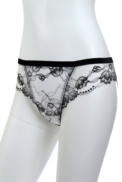 画像9: 【30%OFF】BOUNTY brief  | ノーマルショーツ | Sawren サブレン (9)