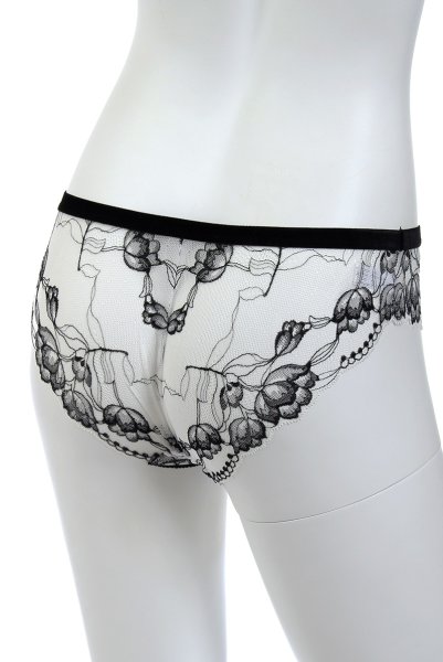 画像10: 【30%OFF】BOUNTY brief  | ノーマルショーツ | Sawren サブレン (10)