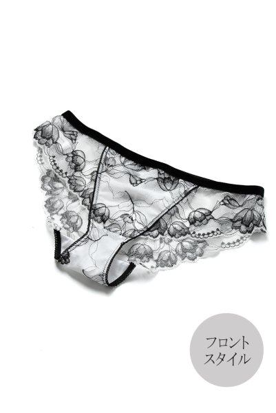 画像11: 【30%OFF】BOUNTY brief  | ノーマルショーツ | Sawren サブレン (11)