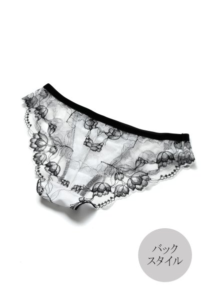 画像12: 【30%OFF】BOUNTY brief  | ノーマルショーツ | Sawren サブレン (12)