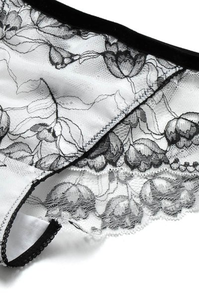 画像13: 【30%OFF】BOUNTY brief  | ノーマルショーツ | Sawren サブレン (13)