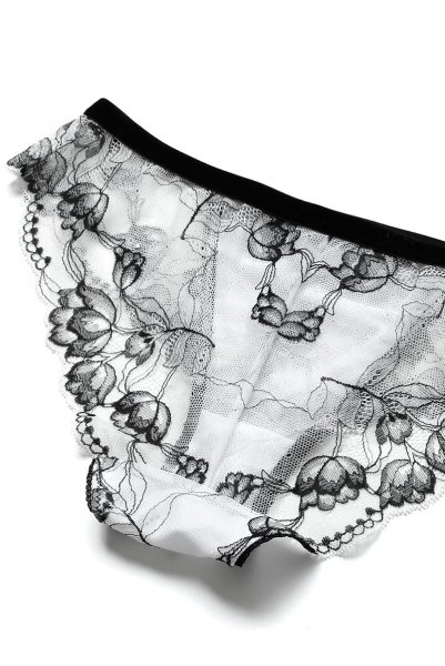 画像14: 【30%OFF】BOUNTY brief  | ノーマルショーツ | Sawren サブレン (14)