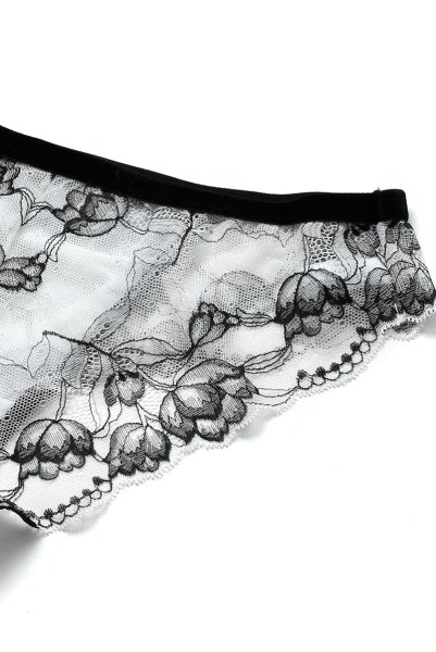 画像15: 【30%OFF】BOUNTY brief  | ノーマルショーツ | Sawren サブレン (15)