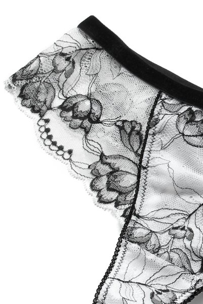 画像13: 【30%OFF】BOUNTY thong  | タンガ・Ｔバック  | Sawren サブレン (13)