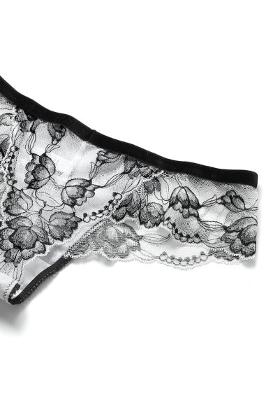 画像14: 【30%OFF】BOUNTY thong  | タンガ・Ｔバック  | Sawren サブレン (14)