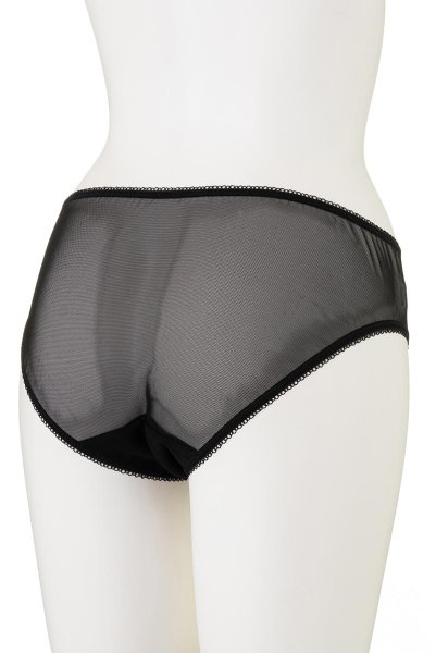 画像10: 【30%OFF】EBONY brief  | ノーマルショーツ | Sawren サブレン (10)