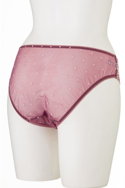 画像8: 【30%OFF】LIBRE brief  | ノーマルショーツ・シースルー | Sawren サブレン (8)