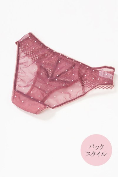 画像10: 【30%OFF】LIBRE brief  | ノーマルショーツ・シースルー | Sawren サブレン (10)