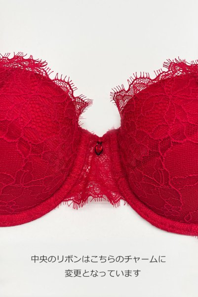 画像15: 【30%OFF】SCANDAL push  | 美乳ブラ・ワイヤー広め・バストサロン推奨・プッシュアップブラ | Sawren サブレン・輸入下着・高級ランジェリー ※サイズ交換NG・クーポン対象外※ (15)