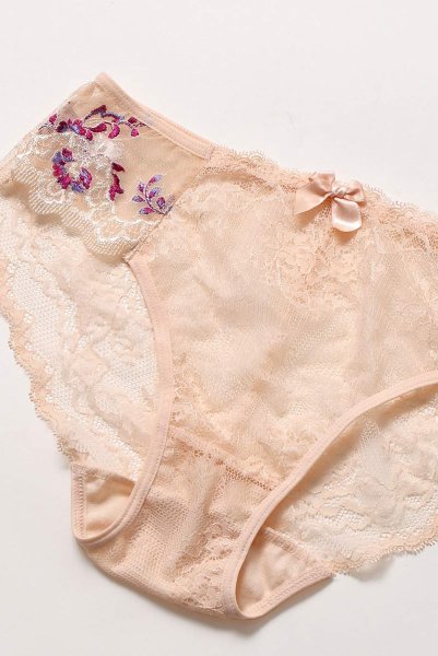 画像13: 【30%OFF】FLORA brief  | ノーマルショーツ・アプリコットピンク・シースルー | Sawren サブレン (13)