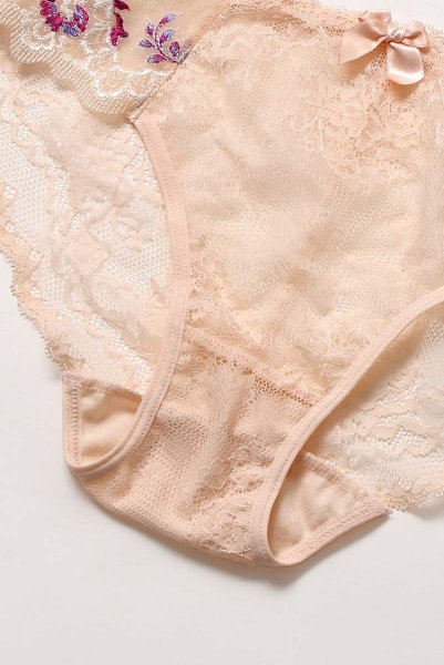 画像14: 【30%OFF】FLORA brief  | ノーマルショーツ・アプリコットピンク・シースルー | Sawren サブレン (14)
