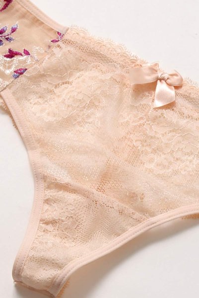 画像13: 【30%OFF】FLORA thong  | タンガ・Tバック・シースルー・アプリコットピンク  | Sawren サブレン (13)