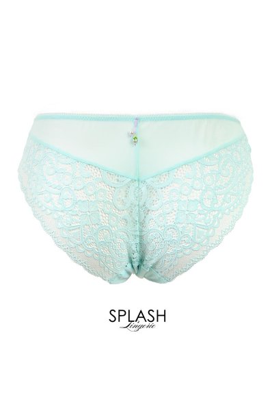 画像2: 【30%OFF】MOON LIGHT brief  | ノーマルショーツ・シースルー | Sawren サブレン (2)