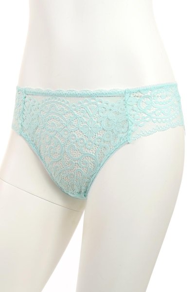 画像9: 【30%OFF】MOON LIGHT brief  | ノーマルショーツ・シースルー | Sawren サブレン (9)