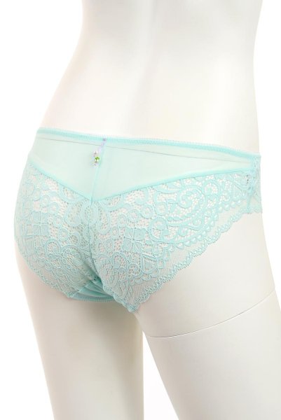 画像10: 【30%OFF】MOON LIGHT brief  | ノーマルショーツ・シースルー | Sawren サブレン (10)