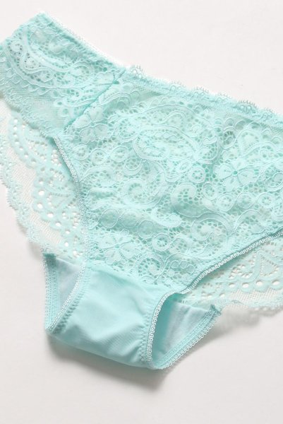 画像13: 【30%OFF】MOON LIGHT brief  | ノーマルショーツ・シースルー | Sawren サブレン (13)