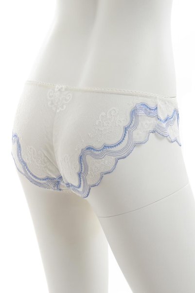 画像10: 【30%OFF】CLOUD brief  | ノーマルショーツ×ブルー・シースルー | Sawren サブレン (10)