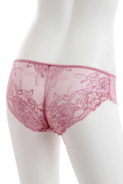 画像10: 【30%OFF】IDOL brief  | ノーマルショーツ・シースルー | Sawren サブレン (10)