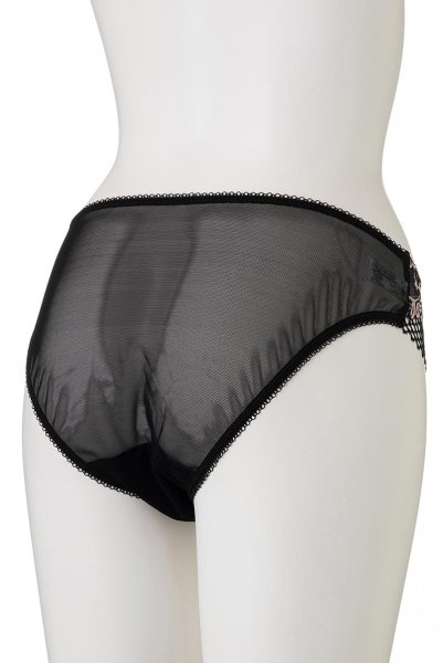 画像10: 【30%OFF】OPIUM brief  | ノーマルショーツ・シースルー | Sawren サブレン (10)