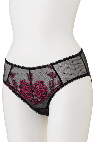 画像9: 【30%OFF】PERFECT brief  | ノーマルショーツ・シースルー・ドット柄 | Sawren サブレン (9)