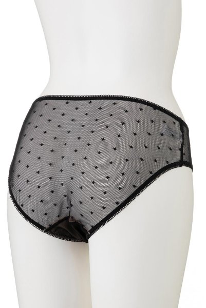 画像10: 【30%OFF】PERFECT brief  | ノーマルショーツ・シースルー・ドット柄 | Sawren サブレン (10)