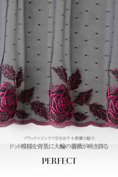 画像16: 【30%OFF】PERFECT thong  | タンガ・Tバック・シースルー・ドット柄 | Sawren サブレン (16)