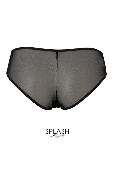 画像2: 【30%OFF】WONDERLUST brief  | ノーマルショーツ・ブリーフ・シースルー | Sawren サブレン (2)