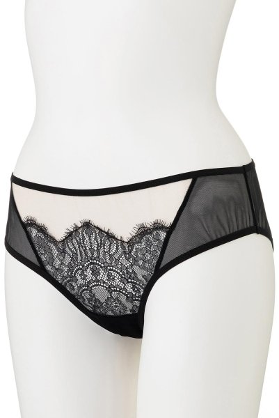 画像9: 【30%OFF】WONDERLUST brief  | ノーマルショーツ・ブリーフ・シースルー | Sawren サブレン (9)