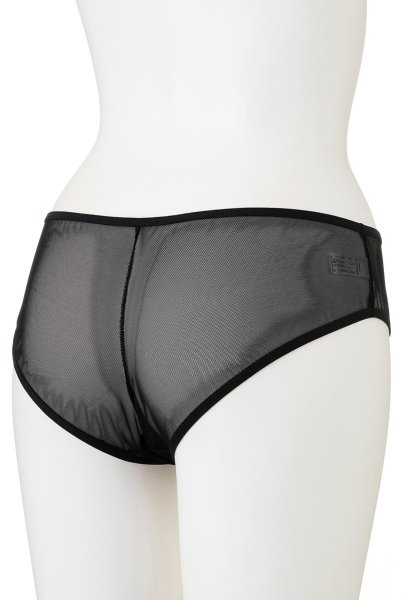 画像10: 【30%OFF】WONDERLUST brief  | ノーマルショーツ・ブリーフ・シースルー | Sawren サブレン (10)