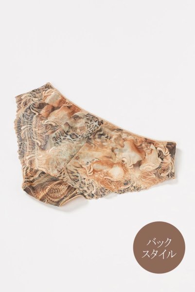 画像12: 【30%OFF】LATTE brief  | ノーマルショーツ・ブリーフ・シースルー | Sawren サブレン (12)