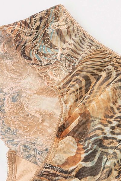 画像13: 【30%OFF】LATTE brief  | ノーマルショーツ・ブリーフ・シースルー | Sawren サブレン (13)