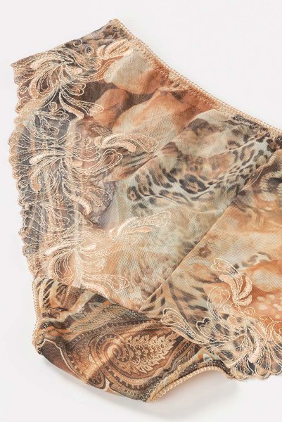 画像14: 【30%OFF】LATTE brief  | ノーマルショーツ・ブリーフ・シースルー | Sawren サブレン (14)