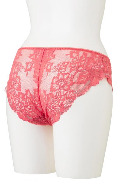 画像10: 【30%OFF】LEGEND brief  | ノーマルショーツ・ブリーフ | Sawren サブレン (10)
