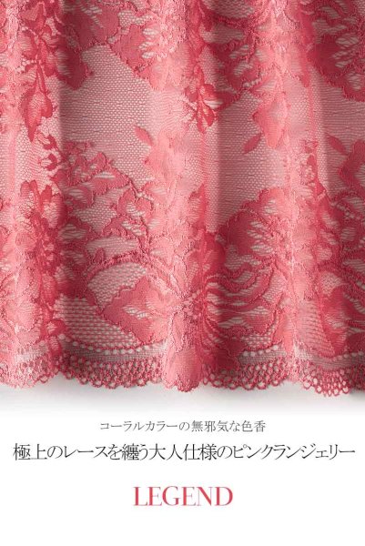 画像16: 【30%OFF】LEGEND brief  | ノーマルショーツ・ブリーフ | Sawren サブレン (16)