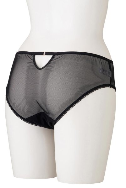 画像10: 【30%OFF】PARADOX brief  | ノーマルショーツ・ブリーフ・シースルー・リボン | Sawren サブレン (10)