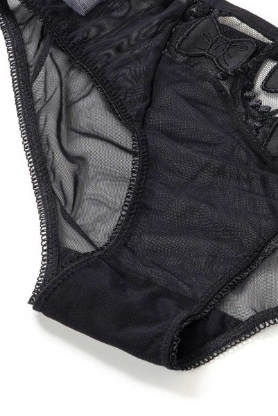 画像15: 【30%OFF】PARADOX brief  | ノーマルショーツ・ブリーフ・シースルー・リボン | Sawren サブレン (15)