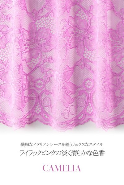 画像15: 【30%OFF】CAMELIA push  | 3/4カップ・ワイヤーブラ | Sawren サブレン (15)