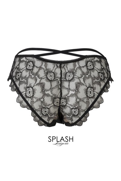 画像2: 【30%OFF】FEVER brief  | ノーマルショーツ・ブリーフ | Sawren サブレン (2)