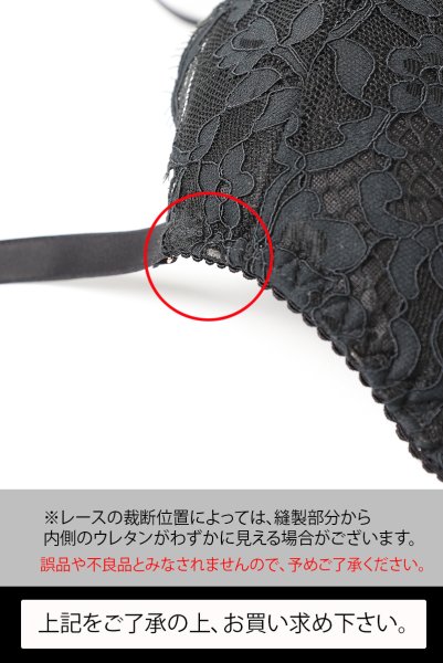 画像12: ETERNA push  | 3/4カップ・ワイヤーブラ・ブラック | Sawren サブレン (12)