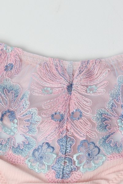 画像11: BLOOM thong  | タンガ・Ｔバック・ピンク×ブルー | Sawren サブレン (11)